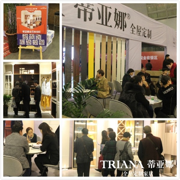 蒂亚娜全屋定制&菲林格尔地板双11工厂直供会 精彩回顾!