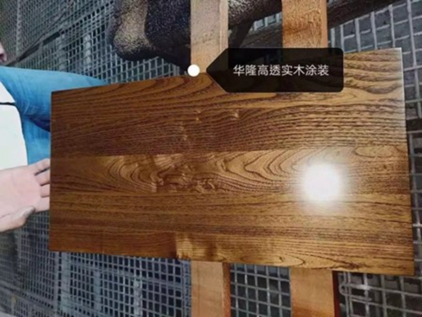 广东华隆涂料实业有限公司当选广州市定制家居行业协会副会长 广东华隆涂料实业有限公司当选广州市定制家居行业协会副会长