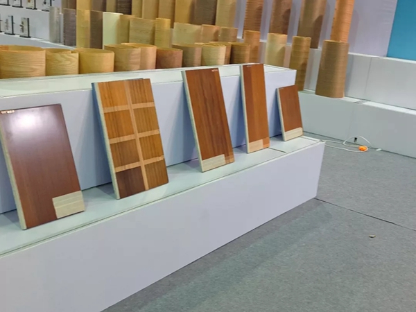 华隆涂料携三大系列产品参展首届中国·清丰实木家具博览会