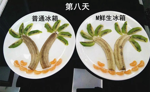 美菱M鲜生冰箱让水果也能“炫”起来! 美菱M鲜生冰箱让水果也能“炫”起来!