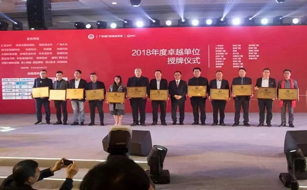 帝奥斯门窗实力实力证明,荣获广东省门业协会2018年度“”卓越单位”称号!