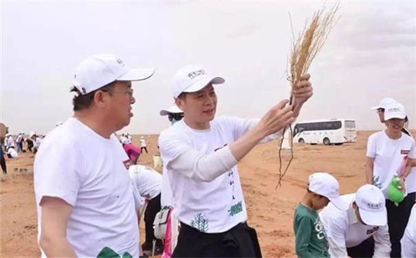 大自然家居2019年新年献词：以奋斗者的姿态，阔步前行