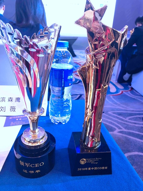 森鹰门窗在2018 ISODC 中国第二届全球高管OD峰会中斩获双料大奖！