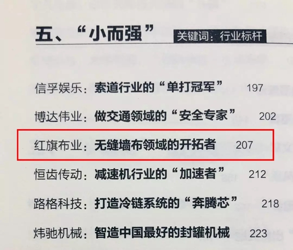 红旗布业荣获小微企业成长之星，是墙布行业唯一获奖单位！