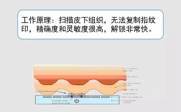 ICCSSI艾栖指纹锁安全度大提升，解决备用钥匙带来的隐患