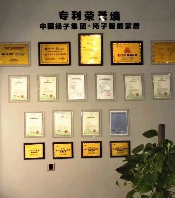 扬子智能家居告诉你成功的代理商都有哪些特点