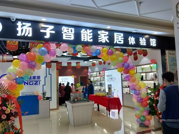 扬子智能家居探讨IDC发布的2019年中国智能家居市场十大预测