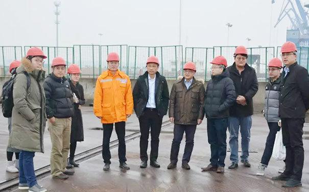 中国木材与木制品流通协会、加拿大木业协会领导考察新民洲港和国林生态产业城