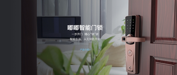 嘟嘟智能家居要怎么加盟？有什么要求吗？