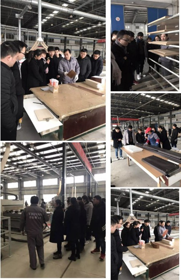 蒂亚娜全屋定制合肥直营部赢新春启动会召开圆满成功!