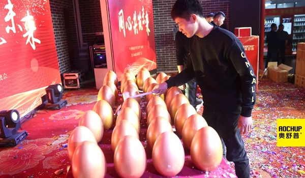 奥舒普门窗新春联欢晚会隆重举行