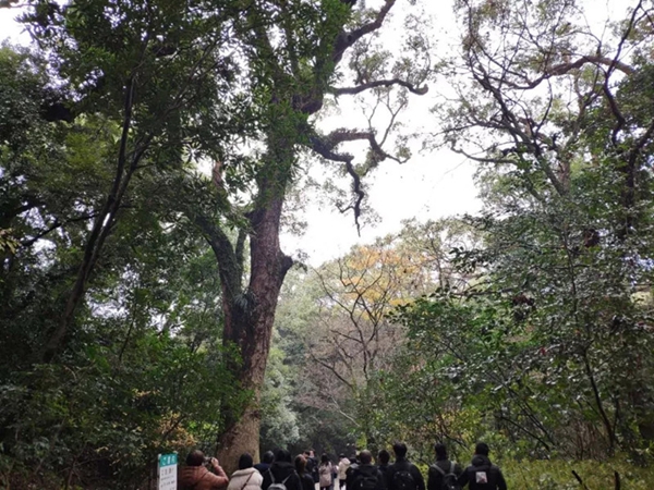 领绣刺绣墙布经销峰会第三天：鹿儿岛，领绣来啦！