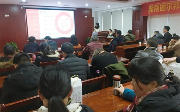 居美嘉品门窗2019湖南泰林科技年终述职报告会
