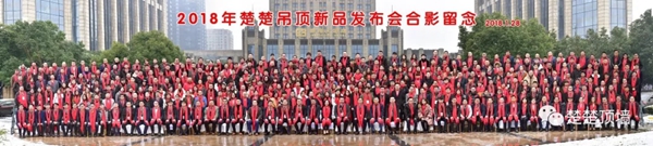 楚楚顶墙2018年度十大魅力事件盘点！