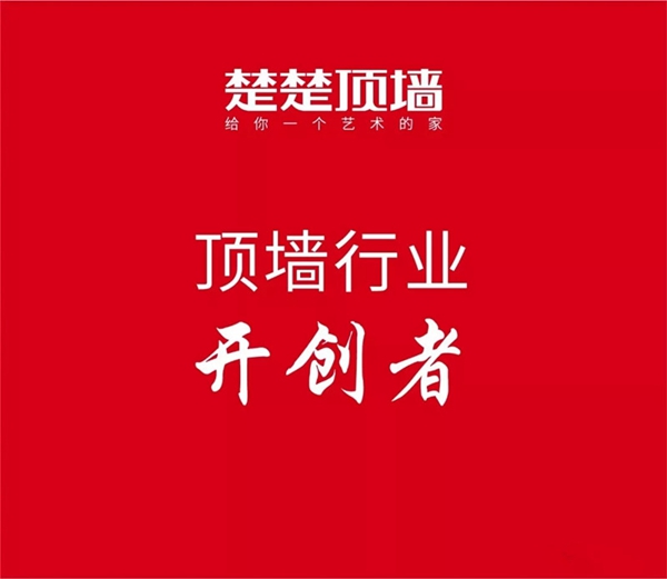 楚楚顶墙2018年度十大魅力事件盘点！