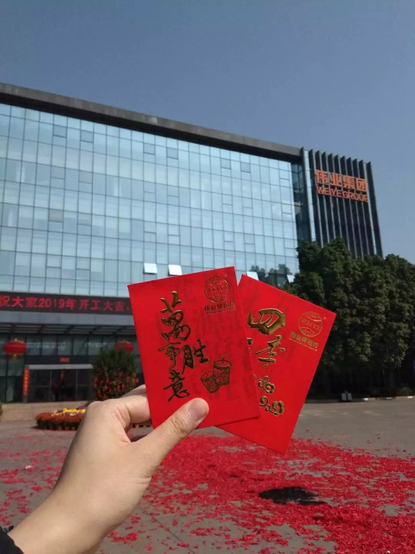 广东伟业集团2019年“猪”事顺利，铝途启航