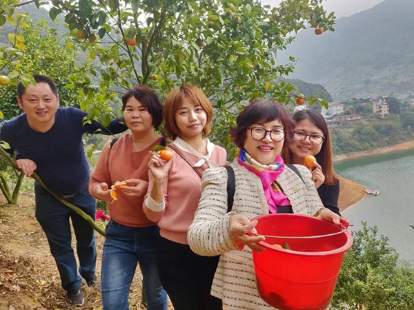欢声笑语，一路同行 | 迪峰机械2019员工新年旅游活动