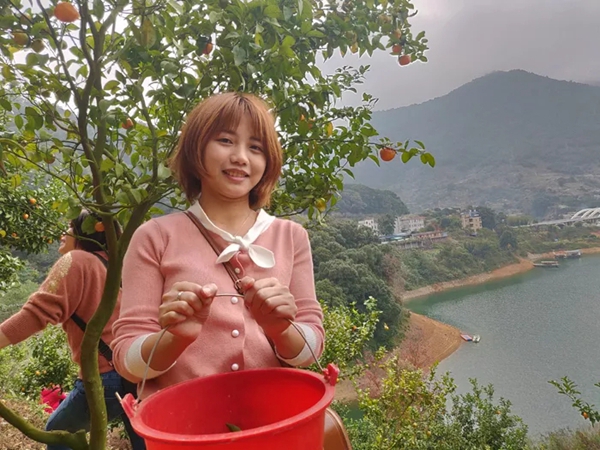 欢声笑语，一路同行 | 迪峰机械2019员工新年旅游活动