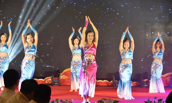狄耐克2019年度全国营销大会圆满举行