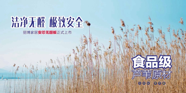 丽博橱柜即将参展广州定制家居展,与你相约4E10展位