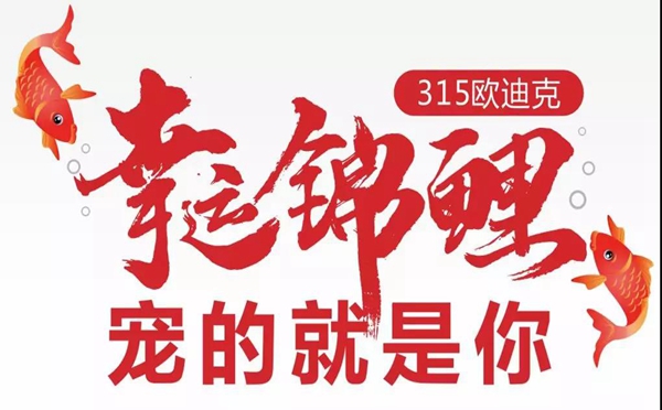 欧迪克门窗寻找“幸运锦鲤”，我们宠的就是你！