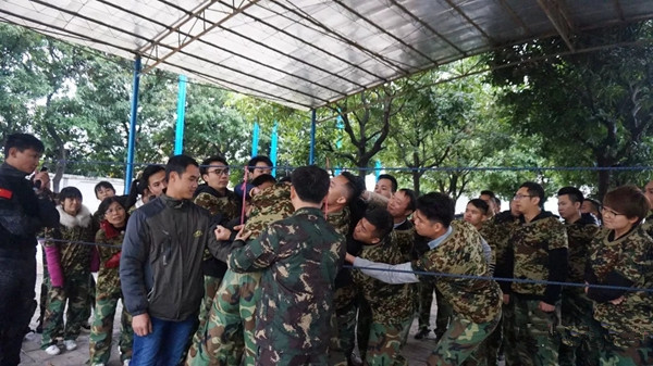 新帝豪门窗精英团队拓展培训圆满成功，蓄力扬帆，追梦2019！
