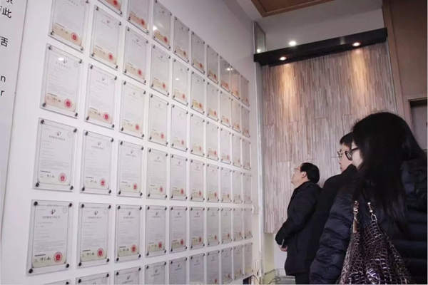 全国人造板标准化技术委员会秘书长段新芳一行莅临肯帝亚指导工作
