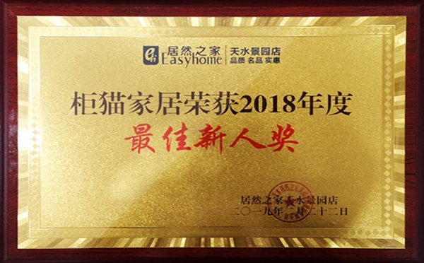 柜猫家居天水店非同凡响，试营期间荣获销冠！