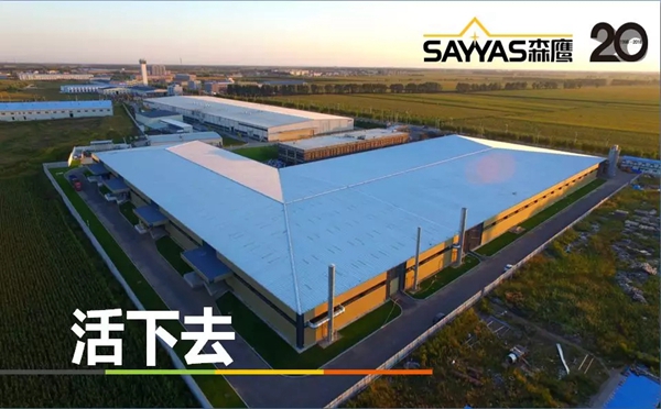 森鹰门窗第二十一届年会盛大召开，董事长边书平激情演讲“活下去”
