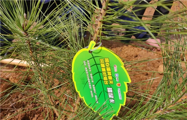烟台三环锁参加公益植树活动，助力打造绿水青山