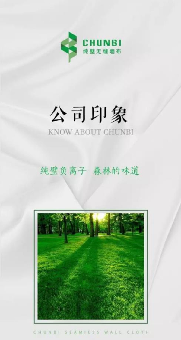 纯璧无缝墙布获“第九届全国墙纸墙布行业经销商大调查” 经销商推崇品牌殊荣!