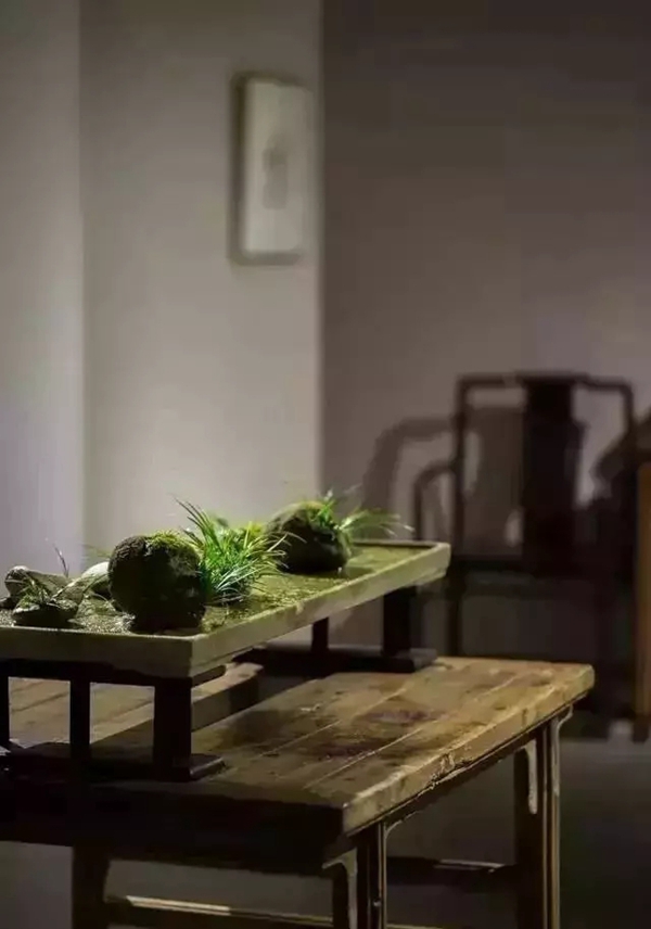 孚太壁布壁纸：用这些方法搭配花木绿植，整个家颜值瞬间提升！