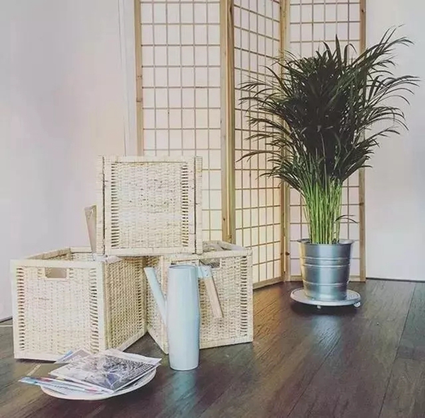孚太壁布壁纸：用这些方法搭配花木绿植，整个家颜值瞬间提升！