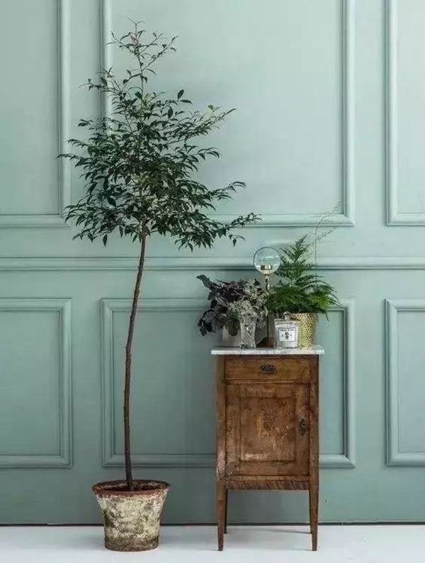 孚太壁布壁纸：用这些方法搭配花木绿植，整个家颜值瞬间提升！