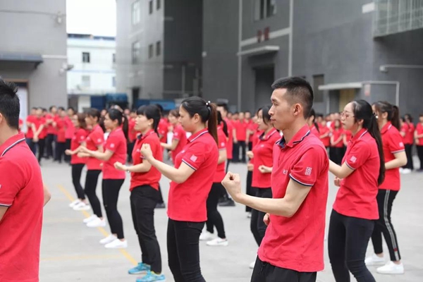  怡发门窗：以武会友，第三届无极咏春大赛圆满落幕！