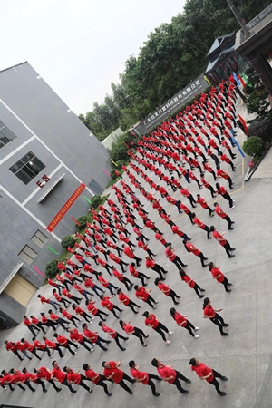  怡发门窗：以武会友，第三届无极咏春大赛圆满落幕！