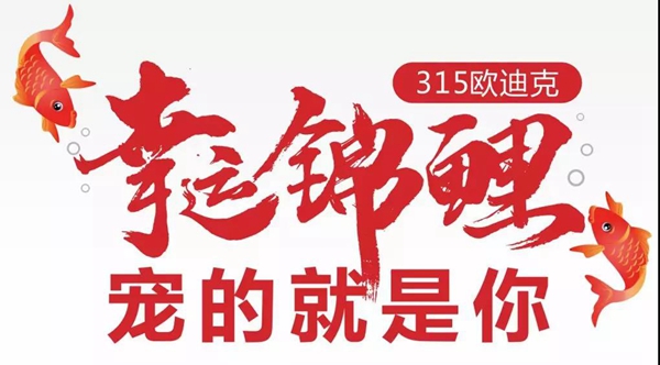 欧迪克商学院“逆势突破,赢战315”双城经销商特训营圆满结束!