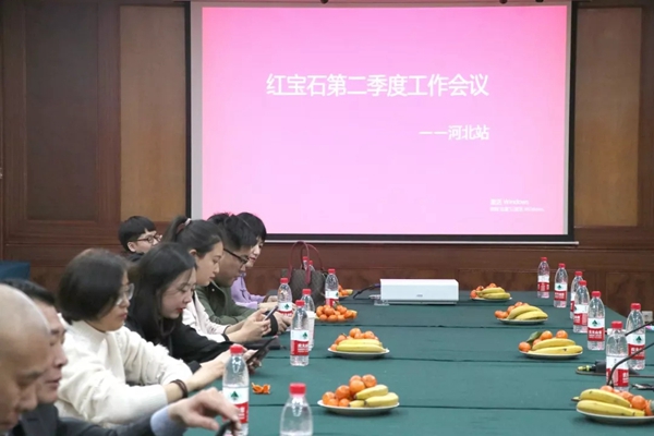 红宝石墙布第二季度工作会议河北站完美结束,服务团队双升级!