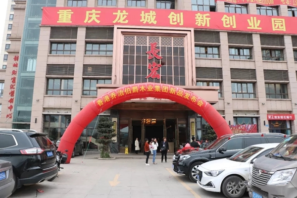 同心协手,共赢未来!揭秘乔治伯爵实现弯道超车的秘诀