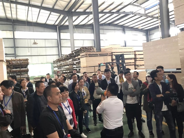 伊恋家居“百城千店,十万加盟”财富峰会圆满结束