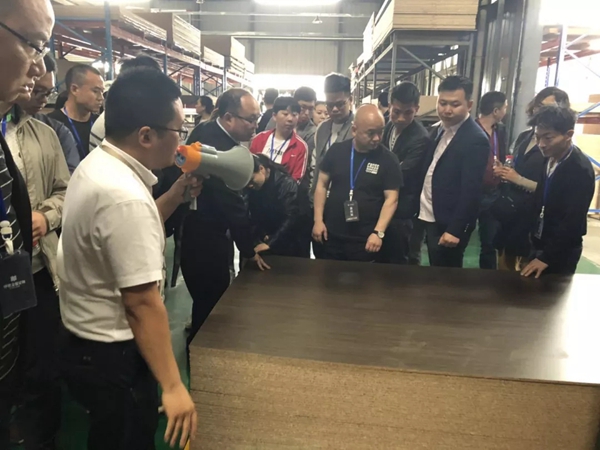 伊恋家居“百城千店,十万加盟”财富峰会圆满结束