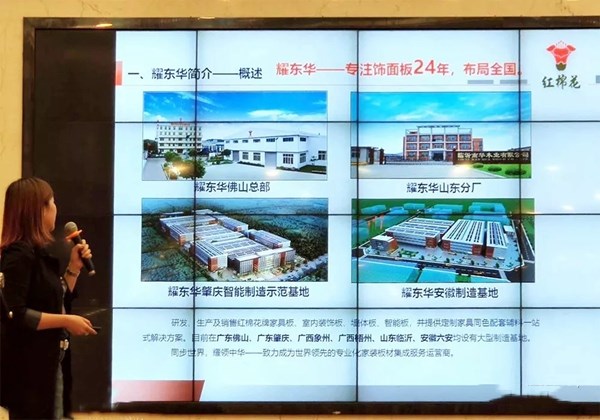 红棉花板材助力科菲笛品牌升级,为客户提供高质量环保板材!