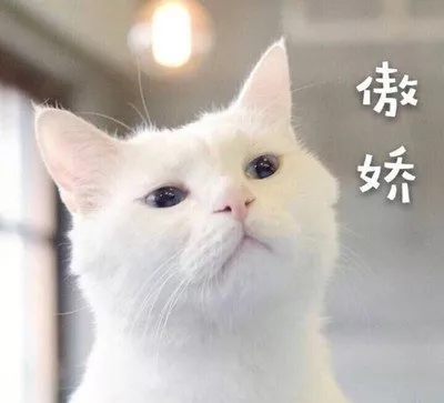 大自然家居“梭梭吧”现身闹市街头,引发众人打卡围观!