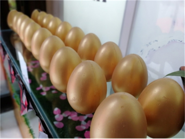 飞宇门窗F6特训营圆满结束，德阳专卖店成第一批F6落地城市之一