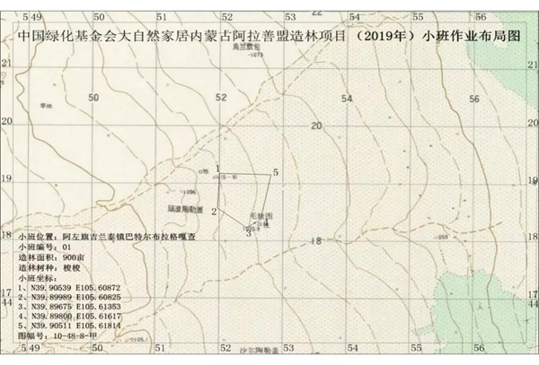徒步进沙漠，大自然家居种下第23片公益生态林！