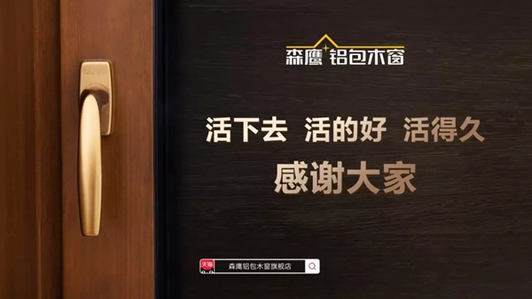 森鹰铝包木门窗边书平：门窗人的风口——以道论窗