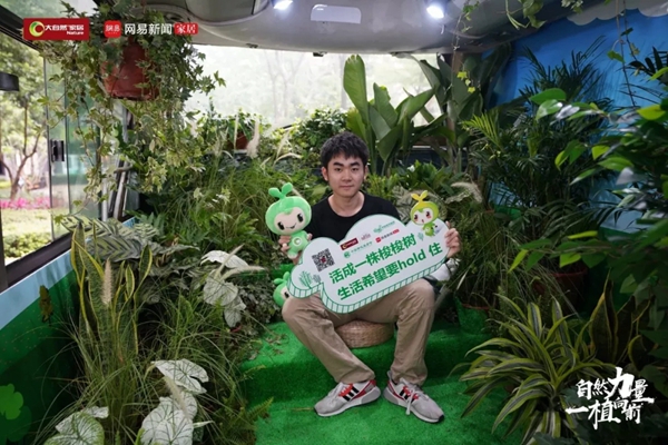 大自然木门联合线上线下互动公益植树活动,玩出刷屏级现象!