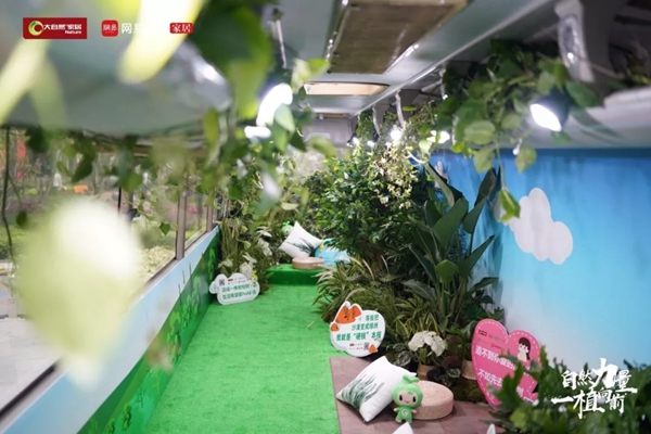 大自然木门联合线上线下互动公益植树活动,玩出刷屏级现象!