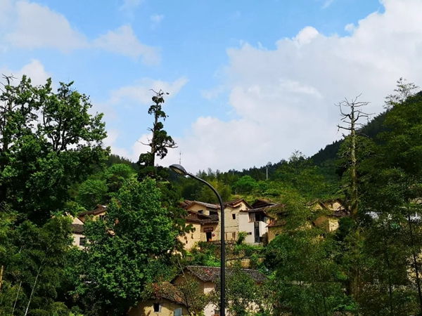 江山门协2019年春游联谊活动圆满结束！