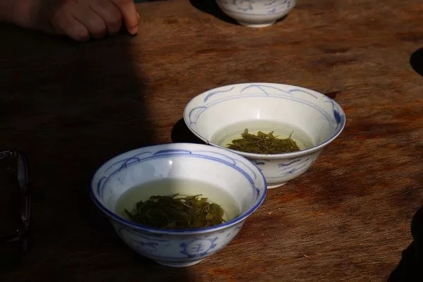 江山门协2019年春游联谊活动圆满结束！
